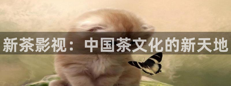 神马第七影视：新茶影视：中国茶文化的新天地