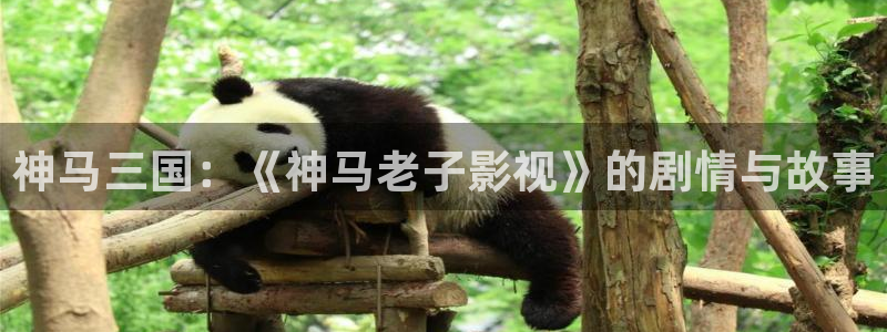 av第七影院：神马三国：《神马老子影视》的剧情与故事