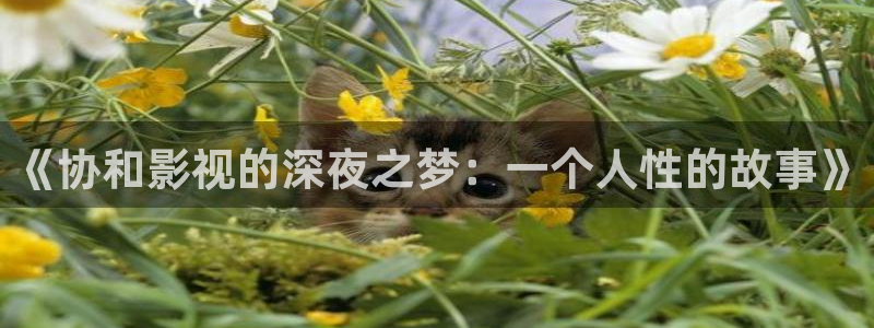 第七神马影院：《协和影视的深夜之梦：一个人性的故事》