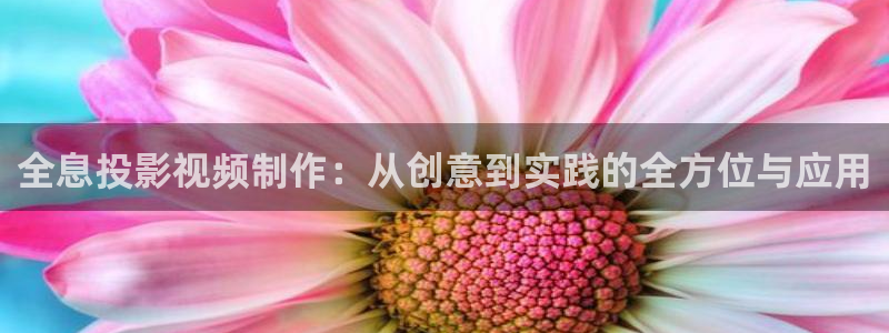 中餐厅第七季星辰影院：全息投影视频制作：从创意到实践的全方位与应用