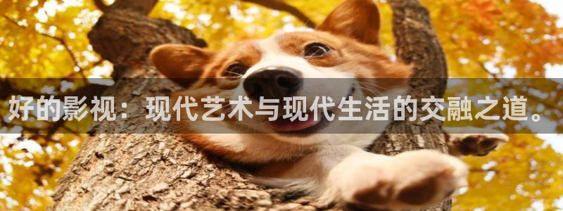 第七花花影院：好的影视：现代艺术与现代生活的交融之道。