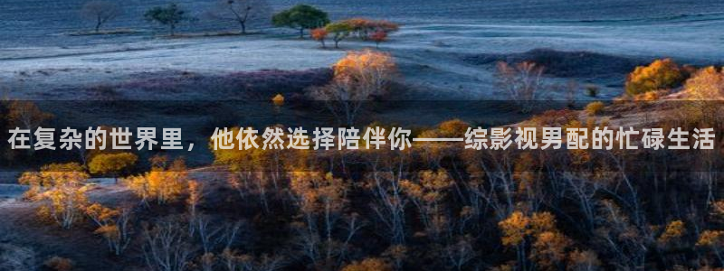 男人天堂第七色影院：在复杂的世界里，他依然选择陪伴你——综影视男配的忙碌生活